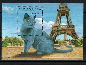 Гайана, 1992, Кошки, Париж, блок